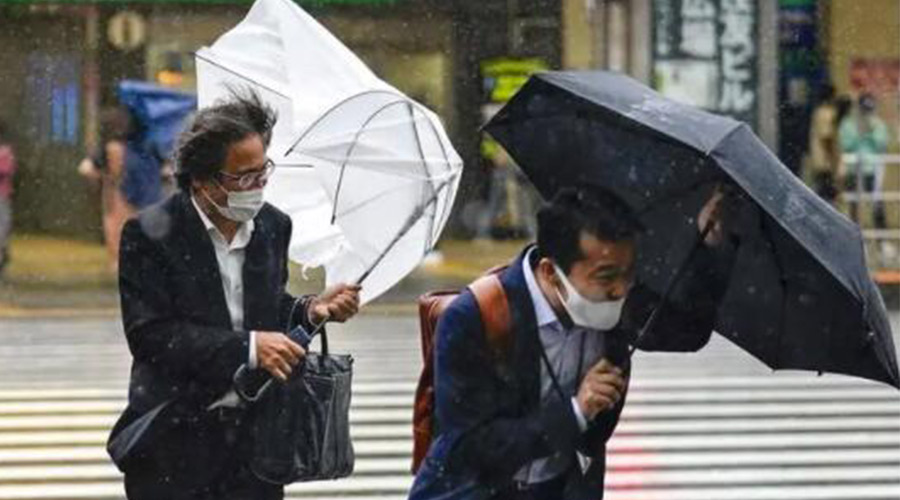 強臺風“梅花”來襲！小型烘干機快速解決內衣褲難干問題