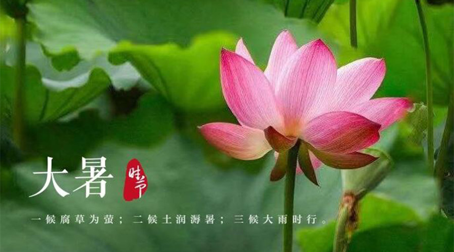 大暑時(shí)節(jié)！金環(huán)電器提醒大家要注意的事項(xiàng)